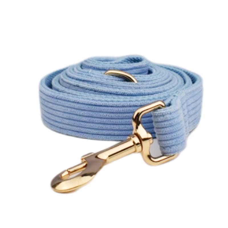 Blue corduroy leash with gold hook clasps, ribbed light-blue webbing.
