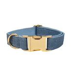 Blue denim dog collar with gold buckle and D-ring hardware