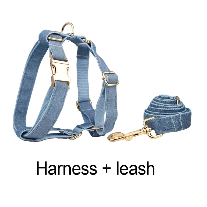 Blue denim dog harness and leash set with adjustable straps and gold hardware