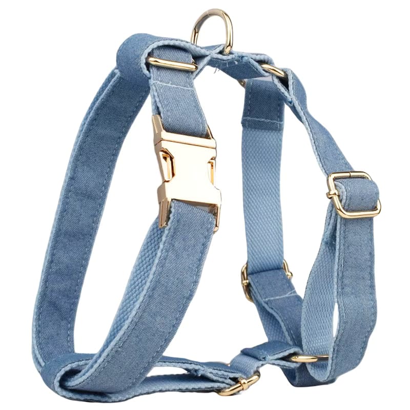 Blue denim dog harness with adjustable straps and gold metal buckles