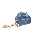 Blue denim collar strap with gold clasp and snap hardware