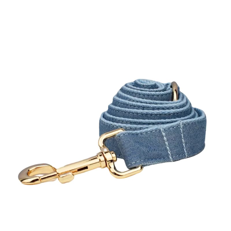 Blue denim collar strap with gold clasp and snap hardware