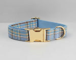 Blue plaid dog collar with gold nameplate buckle and metal D-ring