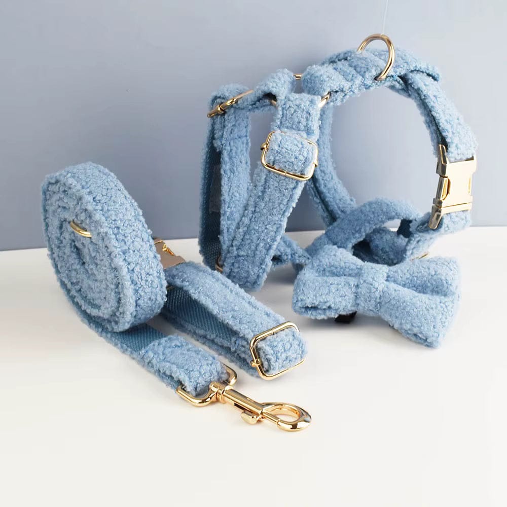 Light blue teddy pet harness with collar band and gold leash hardware