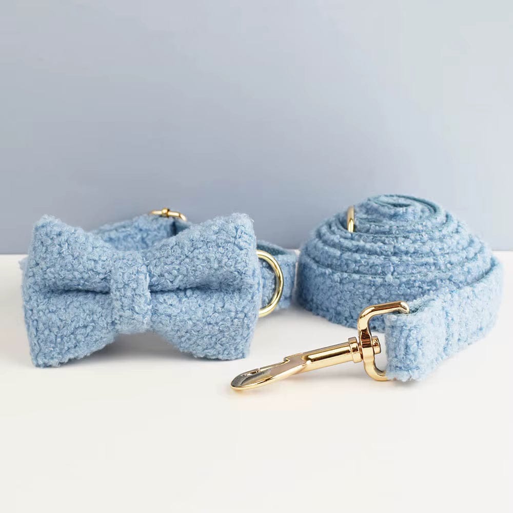 Light blue teddy bowtie, dog collar, and matching leash with gold hardware