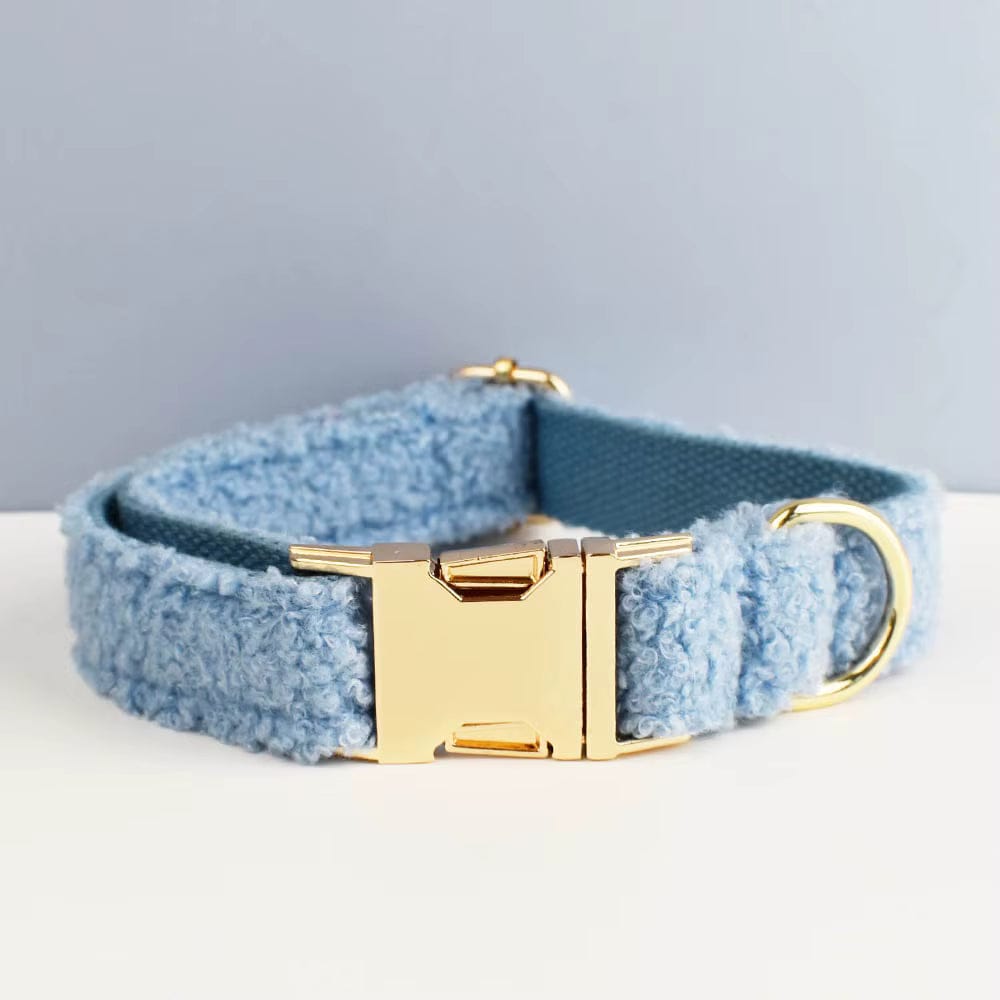 Light blue teddy dog collar with gold clasp and D-ring hardware