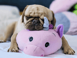 Pink octopus plush toy with stitched face and small blue horn on a lying dog