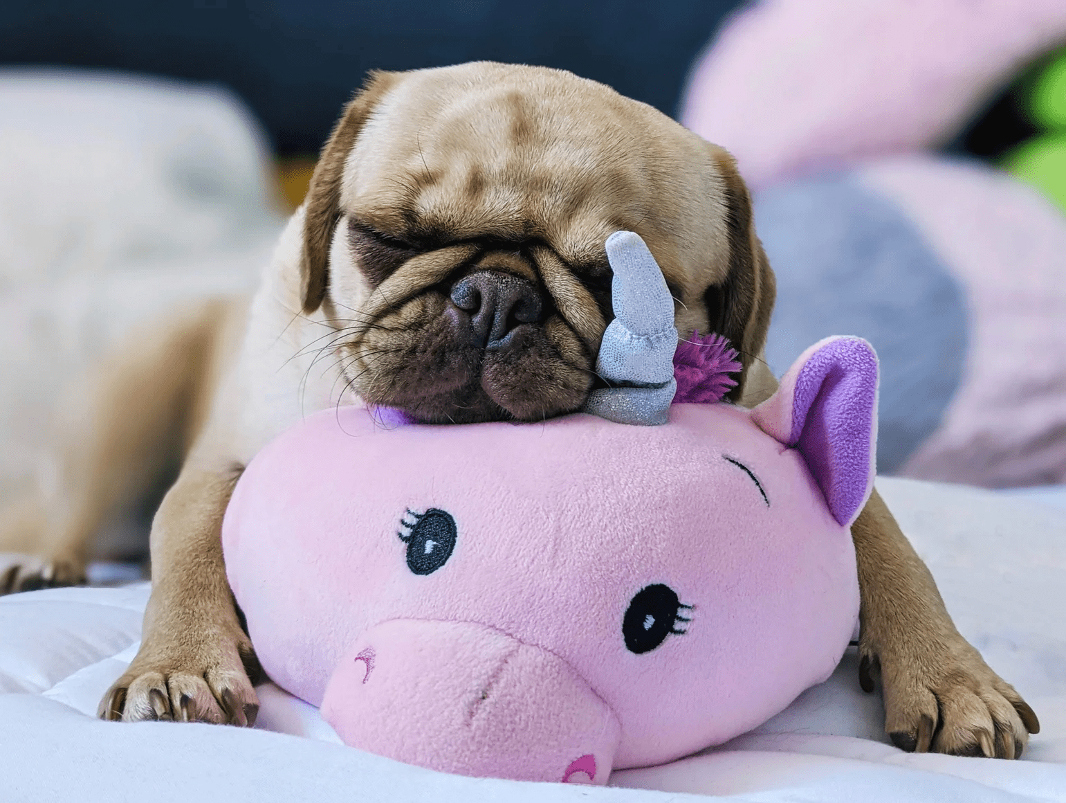 Pink octopus plush toy with stitched face and small blue horn on a lying dog