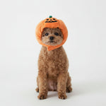 Pumpkin pet hat costume: orange plush hood with jack-o-lantern face and green stem