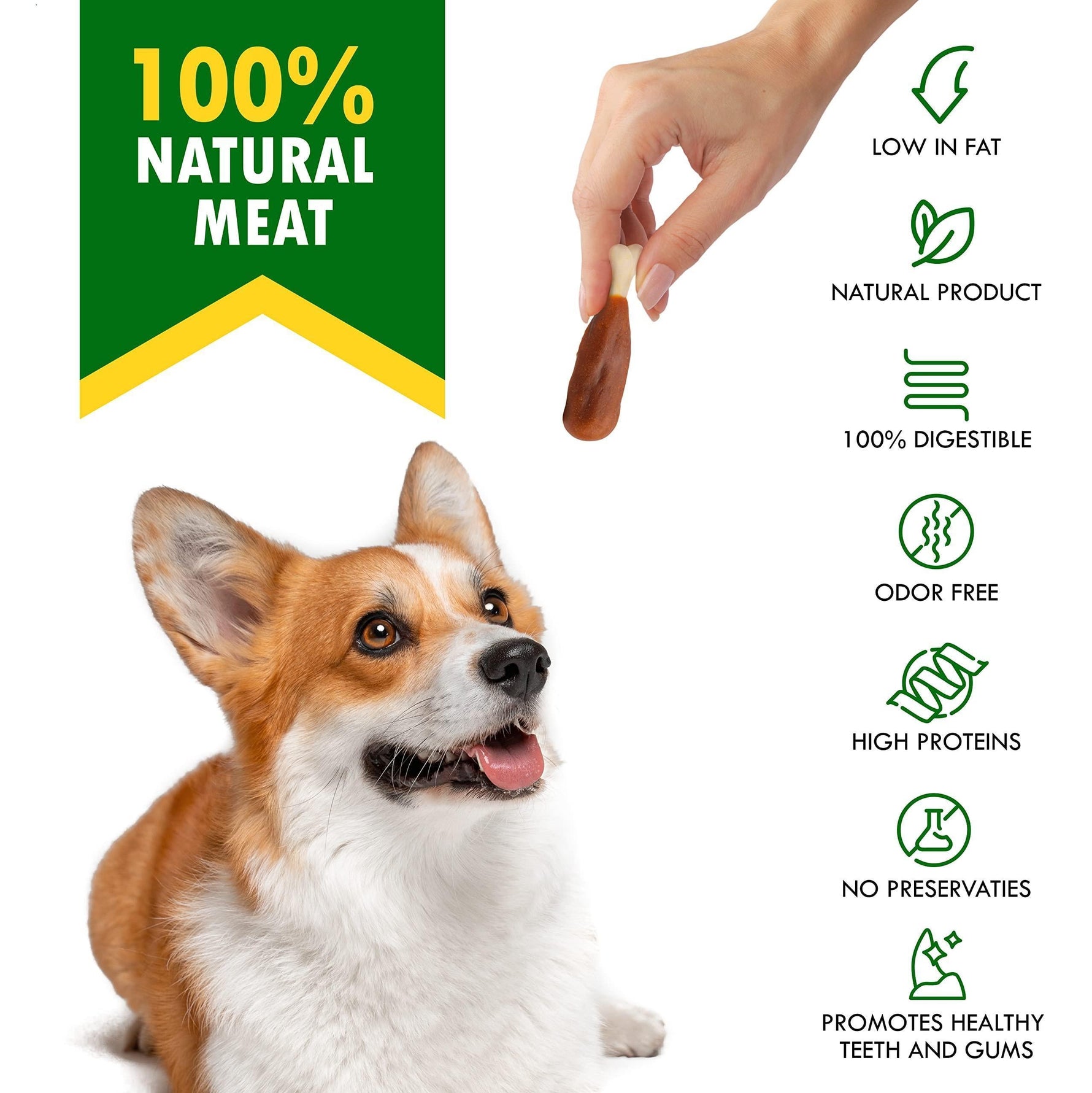 Chicken-flavored calcium bone dog chew held by hand, brown and white sections