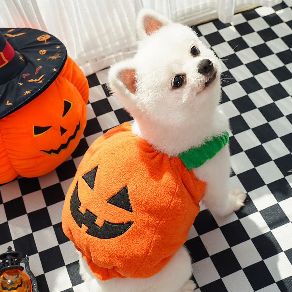 Halloween pumpkin pet costume vest in orange plush with black jack-o-lantern face and green collar