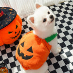 Halloween pumpkin pet costume vest in orange plush with black jack-o-lantern face and green collar