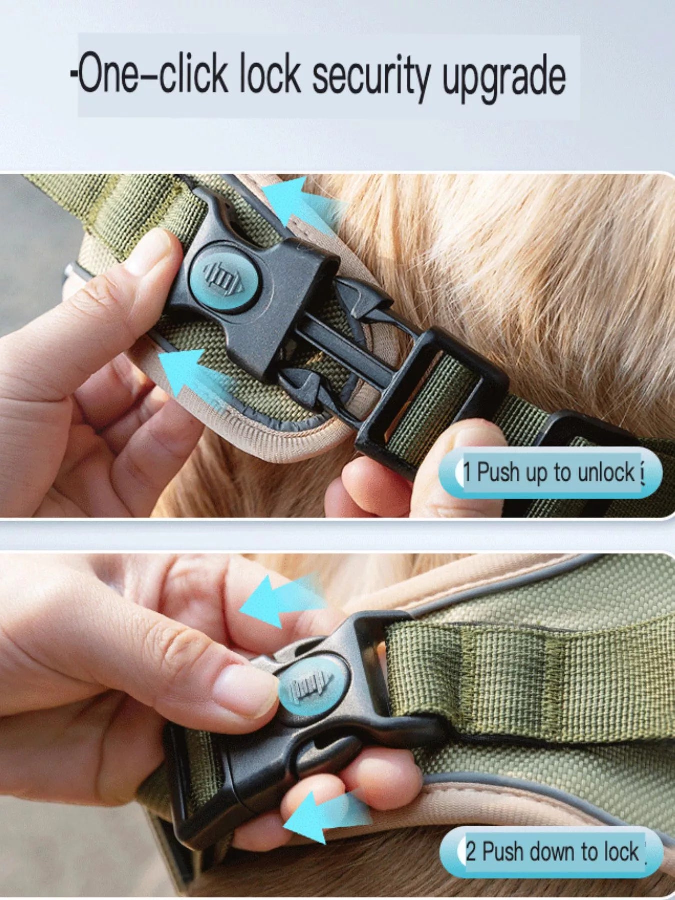 Adjustable pet harness buckle with push-lock mechanism on green strap