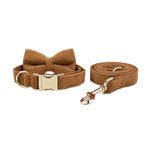 Caramel corduroy bowtie collar with metal buckle and matching leash