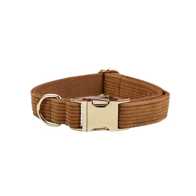Caramel corduroy dog collar with brushed metal buckle and D-ring
