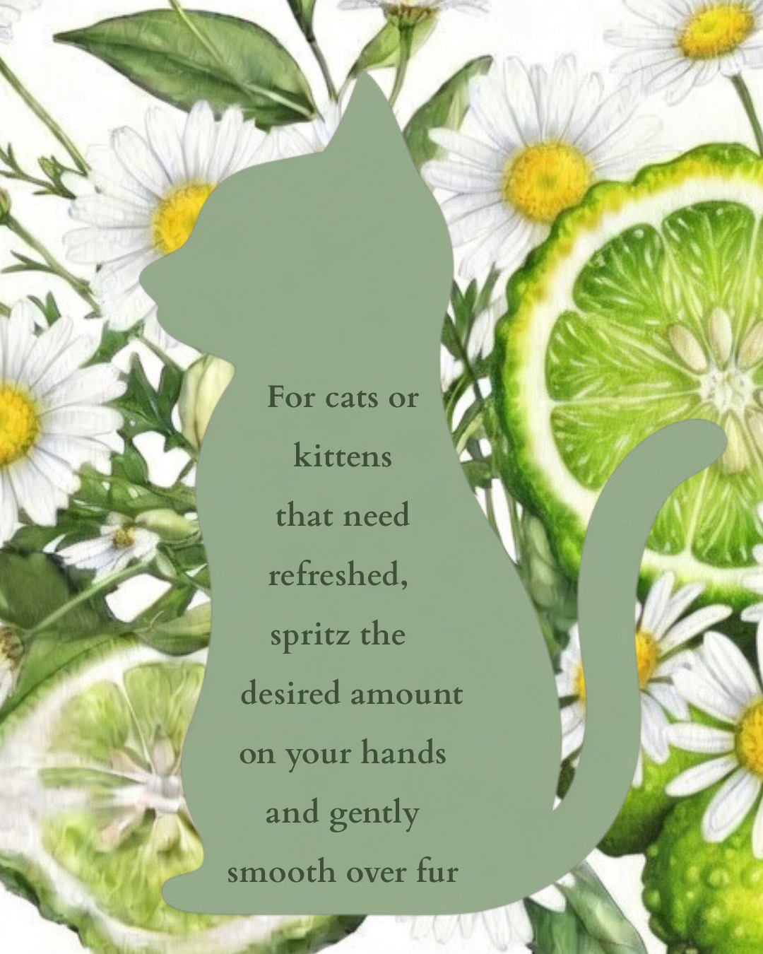 Pet spray use card for cats or kittens with green cat silhouette and application text