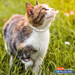 Cat wearing a white flea and tick collar in green grass