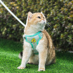 Cat traction rope harness with turquoise blue vest and cartoon paw emblem, leash attached