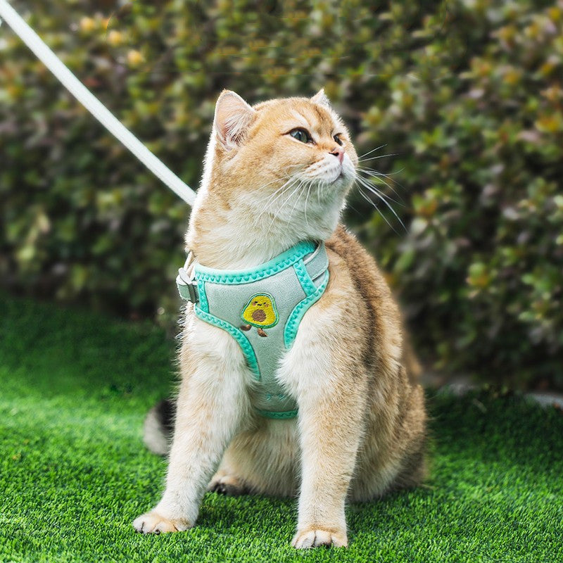 Cat traction rope harness with turquoise blue vest and cartoon paw emblem, leash attached