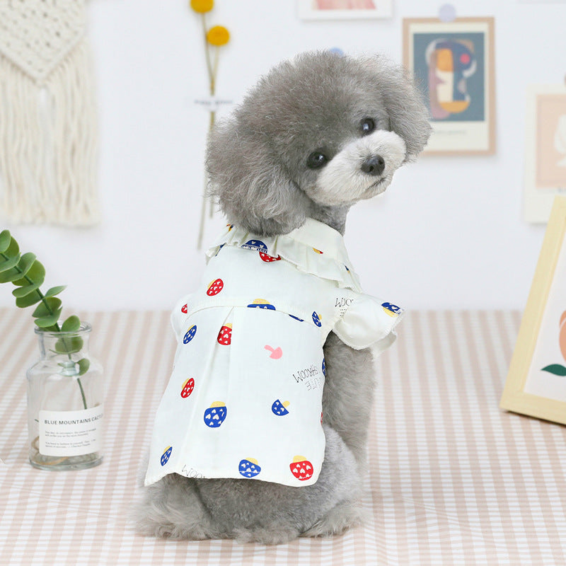 Cream pet shirt with red/blue mushroom print, short sleeves, worn by gray dog