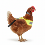 Chicken protection vest, neon yellow with gray reflective panels and black neck strap