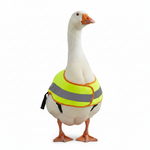 Bird protection vest in neon yellow with gray reflective panels and black shoulder straps