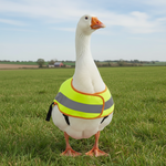Chicken protection vest in neon yellow-green with gray reflective bands and black side straps