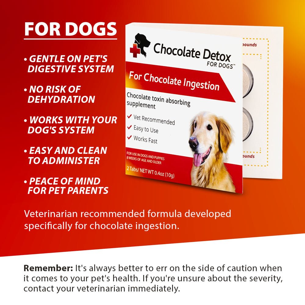 Chocolate detox for dogs supplement box with digestion and administration benefits