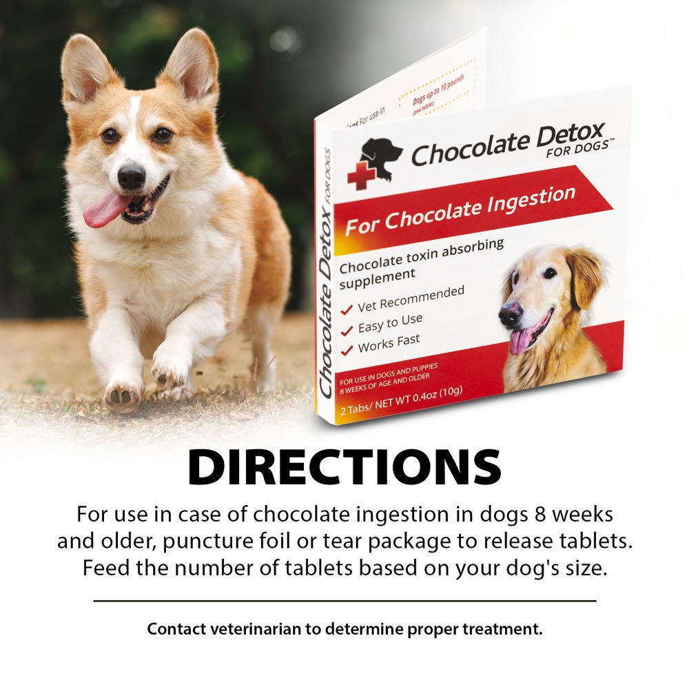 Dog with detox supplement tablets box for chocolate ingestion and directions