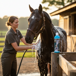 Horse shampoo bottle on fence beside horse and handler