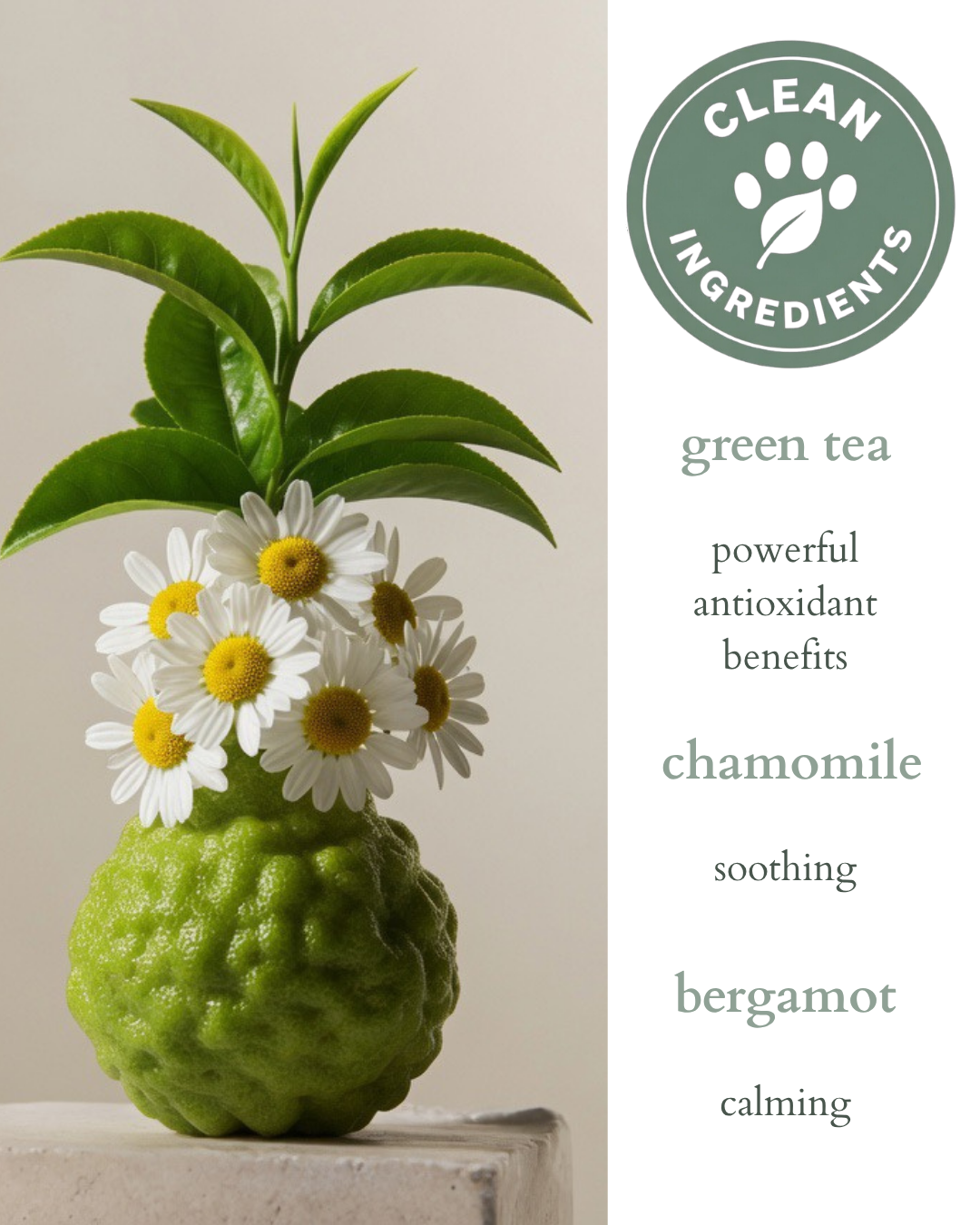 Pet spray label artwork with daisies, green leaves, and a round certification badge