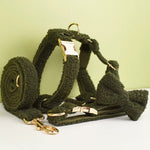 Olive teddy dog harness with leash and gold rings and clips