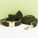 Olive teddy dog collar with bowtie and gold buckle; matching leash