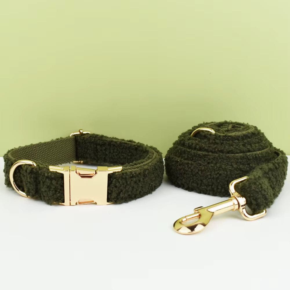 Olive teddy dog collar and leash set with gold clasp hardware