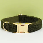 Olive teddy dog collar with gold buckle and D-ring hardware