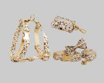 Ivory floral dog set with collar, harness, leash, bowtie, and matching poop bag holder