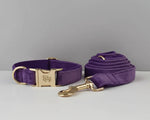 Velvet purple collar with gold nameplate and matching leash set
