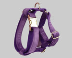 Velvet purple harness set with gold hardware and leash attachment clips