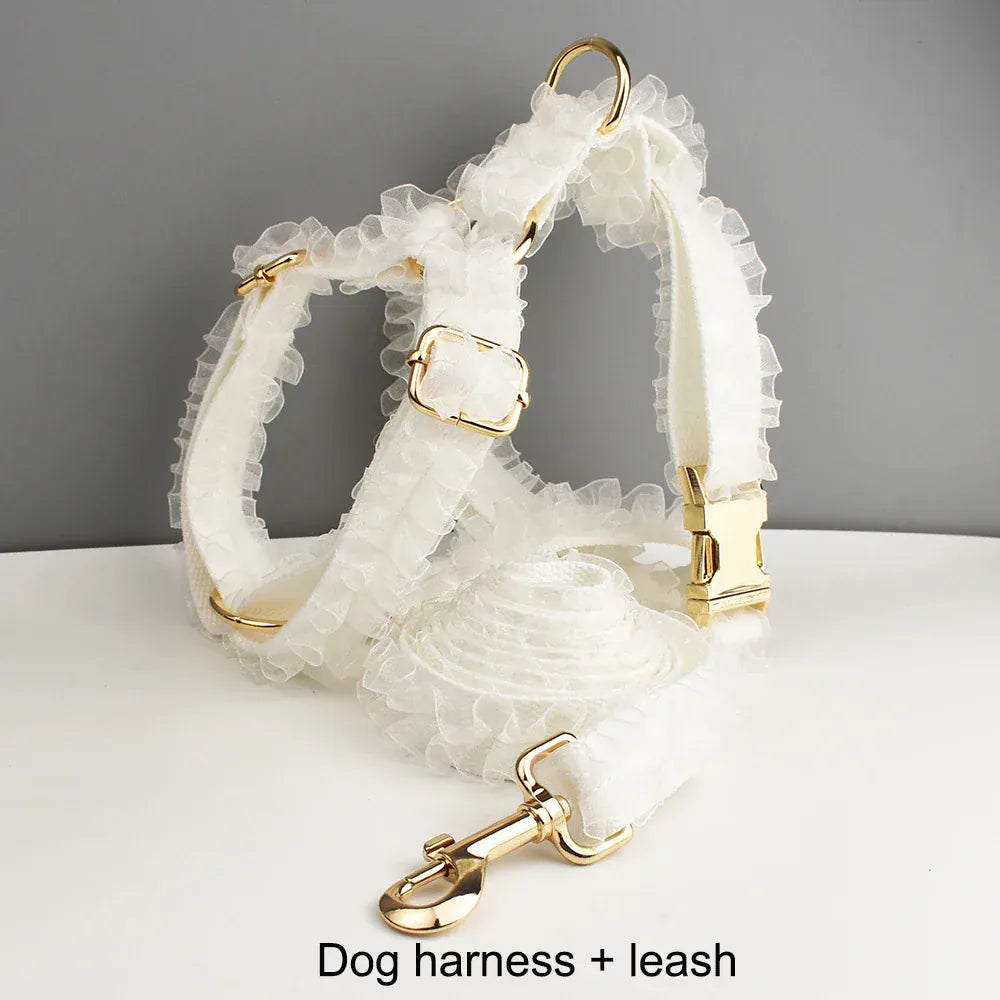 White lace dog harness with matching leash and gold hardware