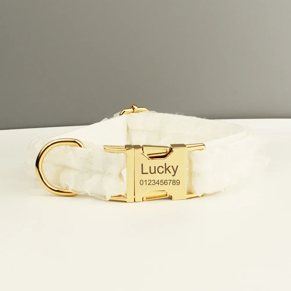 White lace dog collar with gold buckle and engraved ID label