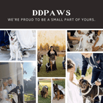 Customer photo collage featuring pets wearing matching dog collar and leash sets