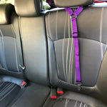 Purple pet car seat belt harness strap attached across the car seat