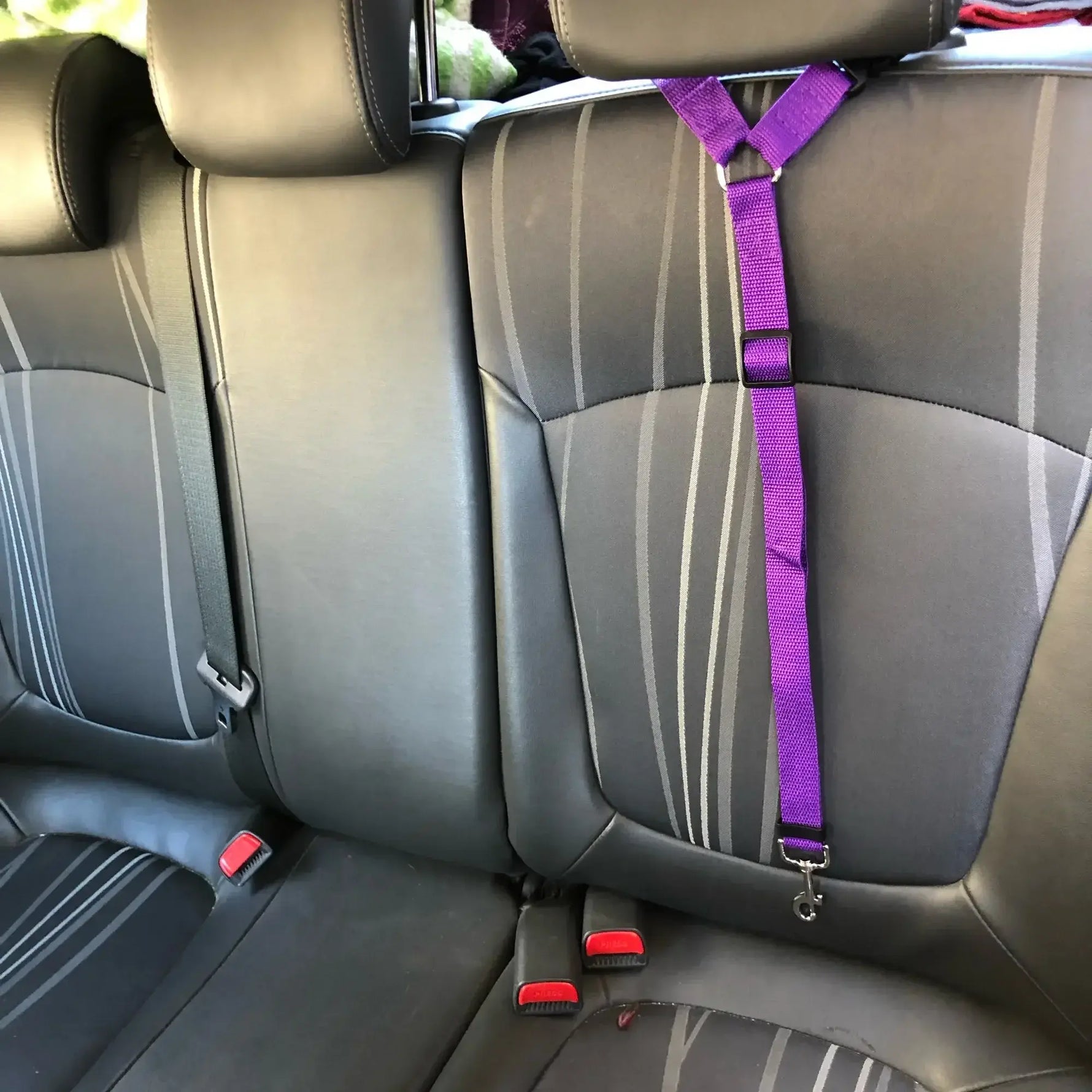 Purple pet car seat belt harness strap attached across the car seat