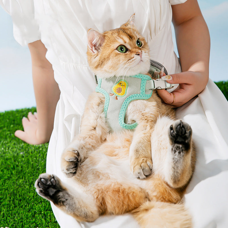 Cat traction rope harness in turquoise with front cartoon patch, worn by cat with person holding
