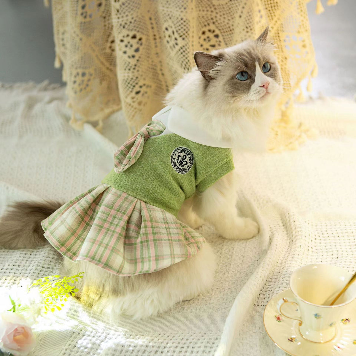Pet cat outfit: green top with plaid bow and pink-and-green tartan skirt