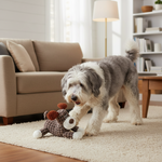 Plush squeaky dog toy held by a dog; dark gray body with brown ears and white feet.