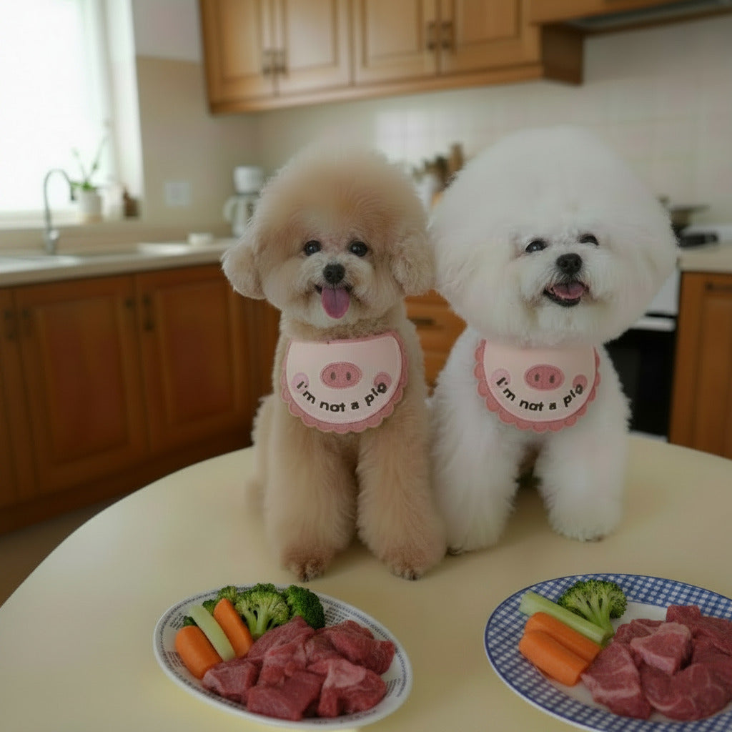 Two dogs wearing pink crocheted pet bandana bibs with pig face and 'I'm not a pig' text