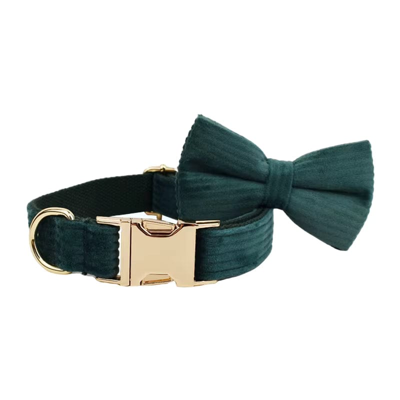 Dark green corduroy dog collar with matching bowtie and gold metal buckle