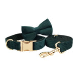 Dark green corduroy bow tie set with collar, leash, and gold-tone hardware
