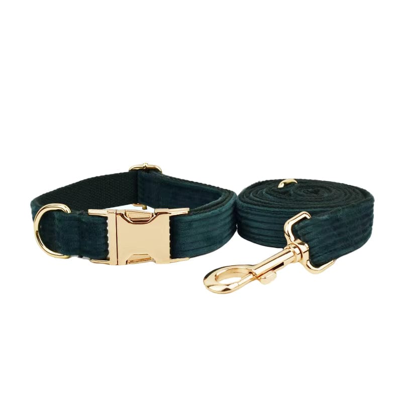 Dark green corduroy dog collar and matching leash with gold-tone hardware